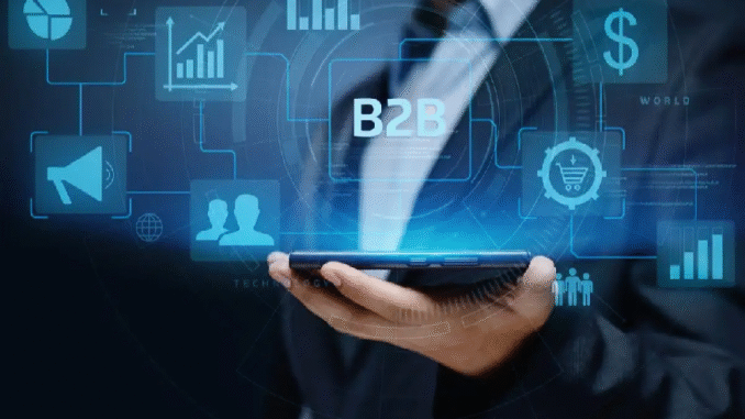 B2B payments