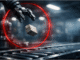 What is physical AI